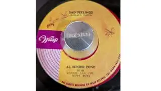 Webby & the Hippy Boys - Sad feelings - Wasp rec 1969. REGGAE SCORCHER