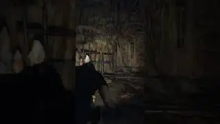 Assassin #shooter #gaming #subscribe #game #residentevil4 #shorts #stealth
