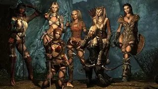 Skyrim Нее, ну я же пошутил