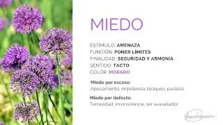 ¿Qué es el miedo? ¿Para qué sirve la emoción miedo?