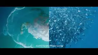 Saudi & Middle East Green Initiatives | National Geographic Abu Dhabi