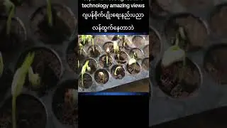 Japan famous agriculture technology amazing views ဂျပန်စိုက်ပျိုးရေးနည်းပညာလန်ထွက်နေတာဘဲ