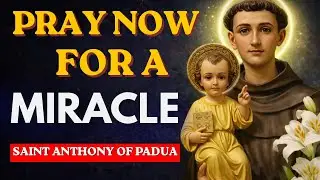 5 MINUTES WITH SAINT ANTHONY | POWERFUL MIRACLE PRAYER 🙏✨