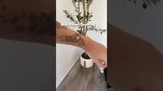 New Tattoo Care Routine