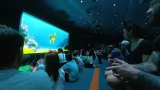 TURTLE TALK WITH CRUSH, EPCOT 2025! 