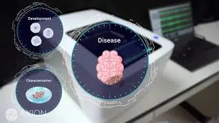 What is MEA - Multielectrode Array Assay | Axion BioSystems