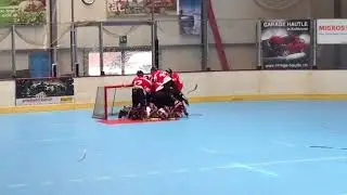 SCS DRAGONS | Halbfinal vs. Z&uuml;risee Waves JUBEL