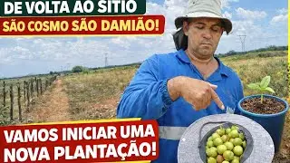 VAMOS INICIAR UMA NOVA PLANTAÇÃO! NO SÍTIO | @Joao_e_telao 