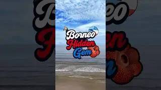 Borneo Hidden Gem🌊🏝️