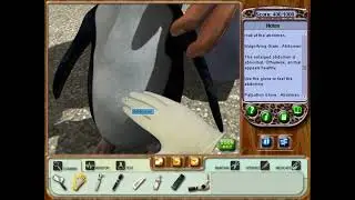 Zoo Vet - Case 3 (Jenny, The Humboldt Penguin)