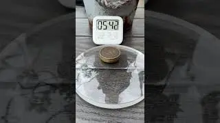 Spin test! - SpinningTopTom haptic spinning coin