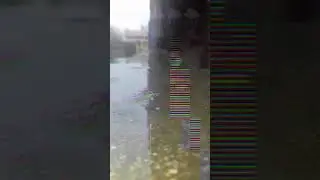 #shorts|very sad|rain status|whatsapp status