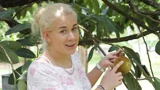 Penang tropical fruit farm