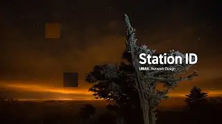 UMAX 네트워크디자인 (Station ID)