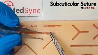 Master The INVISIBLE SUTURE From A Surgeon - The Intradermal