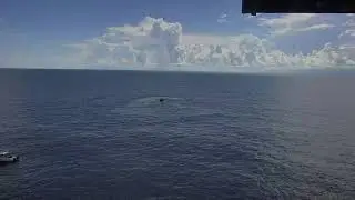 Frying Pan Tower Ocean View Cam 08-26-2018 07:13:17 - 08:13:18