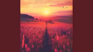 sunset journey