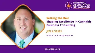 Setting the Bar: Shaping Excellence in Cannabis Business Consulting