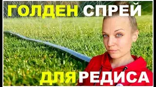 Система полива редиса. Сеем жёлтые томаты.
