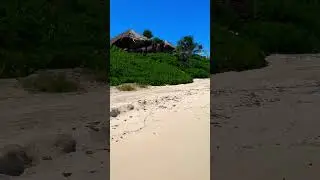 #tulumescape #tulumbeach #papayaplaya #paradise #beach #tulum #tulumagic #playa #vacayvibes