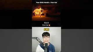 Your Month = Your CRAZY Cat🔥😸