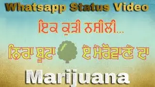 Marijuana by Veet Baljit Whatsapp Status Video