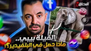 تراندينغ - الفيلة بيبي.. ماذا حصل في البلفيدير؟