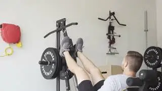 Synergee Leg Press & Lat Pull Down Machine