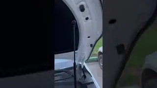 Чанган CS55 плюс. Газовые упоры.