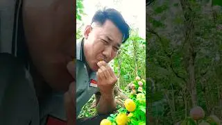 Lemot kecut 