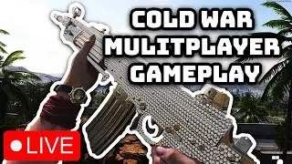 Cheaters Have Taken Over BO4