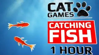 🐱Cat Games - 🐟 Catching Fish Remake 2023 (Video for Cats to watch) 4K