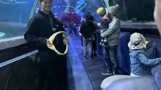 Auckland aquarium 