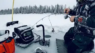Caught so many I lost count | Interior Alaska | Ice Fishing