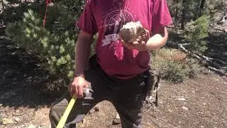 Juniper Drill Target - High Grade Float Sample. Gold Springs Project on the Nevada Utah Border