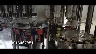 Rotary high speed PET bottle fish sauce washing, filling, and capping machine
