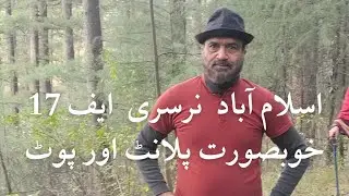 I Spent a Day at Islamabad NURSERY and Here's What I Discovered