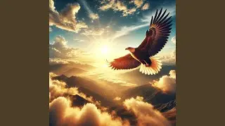 Soaring Like Eagles
