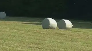 Die Produktion von Silageballen