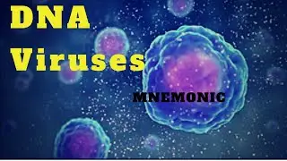 DNA Viruses names mnemonic