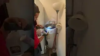 Treating a Roach Infestation