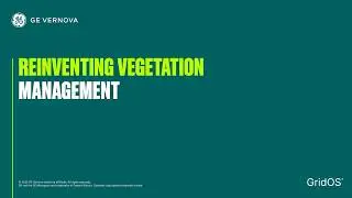 Reinventing Vegetation Management: Utility Panel Discussion