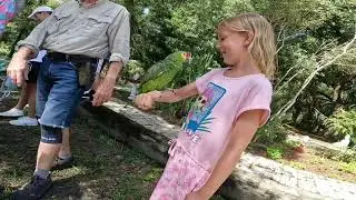 Bird garden of Naples