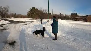 6Jan21 Chance - Search 3