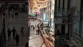 #video #cp67 mohali #reels