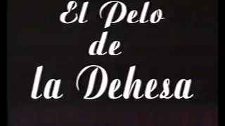 TEATRO: 