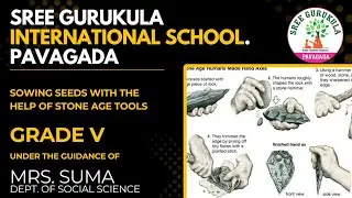 Social Science Activity | Sree Gurukula International School