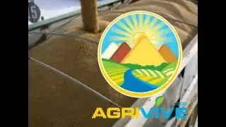 Bulk Rice Distribution, Rice Distribution, Rice Distribution, Rice Distribution, Rice Distribution