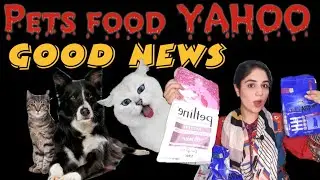 Good news for pet lovers / Pets foods unban yahoooooo /Dr.Hira Saeed