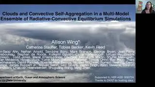 Clouds & Convective Self-Aggregation in a Multi-Model Ensemble of RCE Simulations